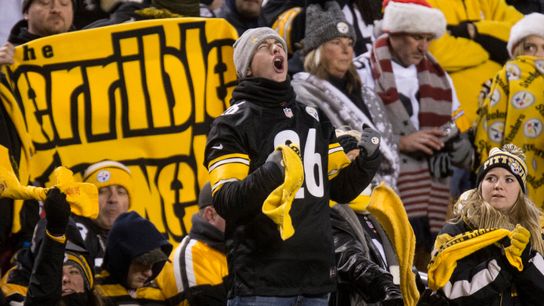 Kovacevic: Steelers as dogs? Chill out with 20 cold, hard facts taken at Rooney Sports Complex (Steelers)