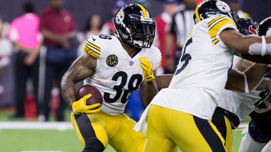 Steelers, Ridley agree on deal to bolster running back depth taken at Rooney Sports Complex (Steelers)