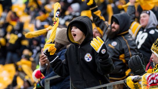 Steelers' 2018 schedule grows gradually tougher taken at Rooney Sports Complex (Steelers)