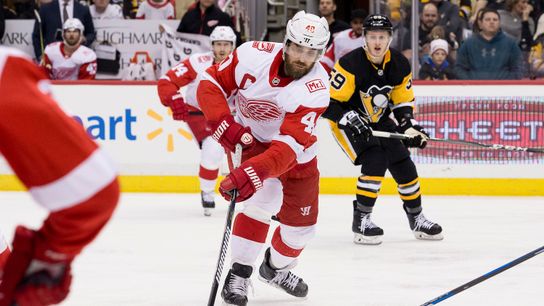 Hagelin: Zetterberg 'true captain' for Sweden taken at Highmark Stadium (Penguins)