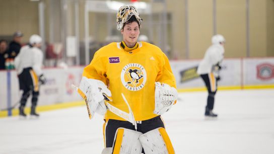 Goaltenders around NHL easily clearing waivers taken in Cranberry, Pa. (Courtesy of Point Park University)