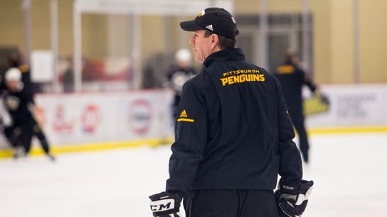 Sullivan's 'incredible job' might have been his finest taken in Cranberry Township, Pa. (Penguins)