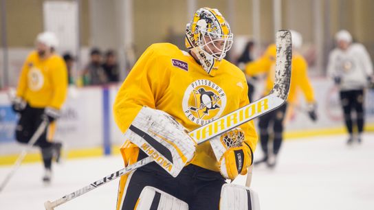 Kovacevic: Penguins in ... uh, 5 1/2? taken in Cranberry Township, Pa. (Penguins)