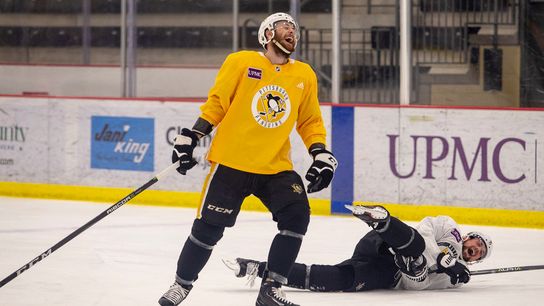 Kovacevic: Penalty-killers face taller task than Ovechkin taken in Cranberry Township (Penguins)