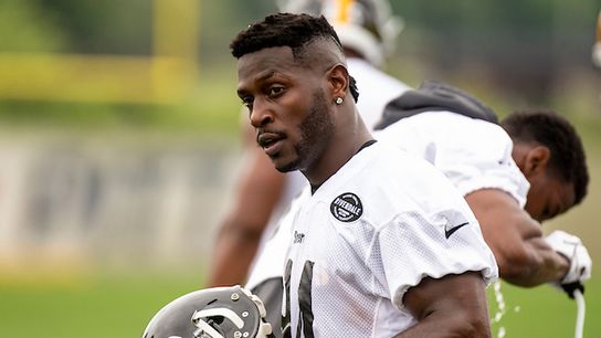 Lolley: If Brown doesn't want spotlight, don't seek it taken at Rooney Complex (Steelers)