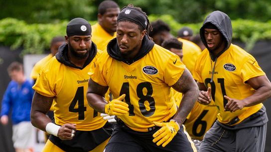 Steelers flip the Dupree/Watt script taken at Rooney Complex (Steelers)