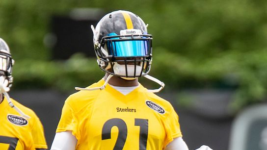 Davis or Burnett? Steelers wait on free safety taken at Rooney Complex (Steelers)