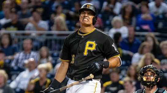 Nova getting 'back to what he does' taken at PNC Park (Courtesy of StepOutside.org)