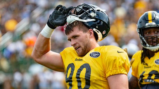 Porter still high on Dupree, Watt taken in Latrobe, Pa. (Steelers)
