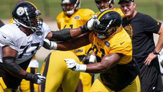 Tuitt set to carry his share of load for Steelers taken in Latrobe, Pa. (Steelers)