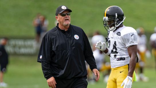 Fichtner promises 'subtle' changes as OC taken in Latrobe, Pa. (Steelers)