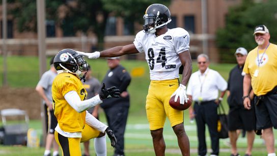 Tomlin mum on Brown's Twitter remarks taken in Latrobe, Pa. (Steelers)
