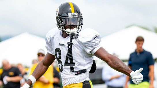 Kovacevic: It's time Steelers behave like city's team taken in Latrobe, Pa. (Steelers)