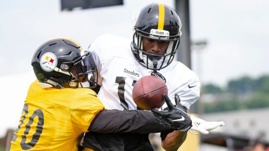 Steelers' sub packages can break a dollar taken in Latrobe, Pa. (Steelers)