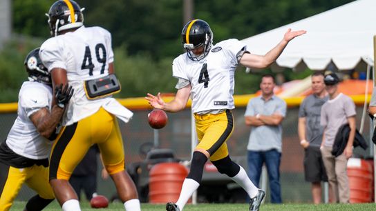 Berry, Wile suddenly in duel for Steelers' punter taken at Rooney Complex (Steelers)