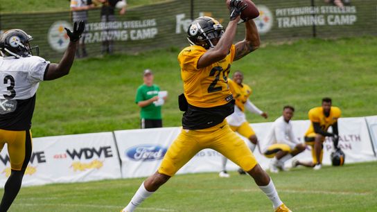 Friday Insider: Wise official helps Steelers' DBs taken in Latrobe, Pa. (Courtesy of Point Park University)