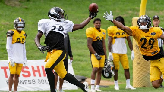 Washington showing welcome versatility taken in Latrobe, Pa. (Steelers)