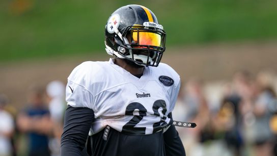 Ridley hopes eighth NFL stop is his last taken in Latrobe, Pa. (Steelers)