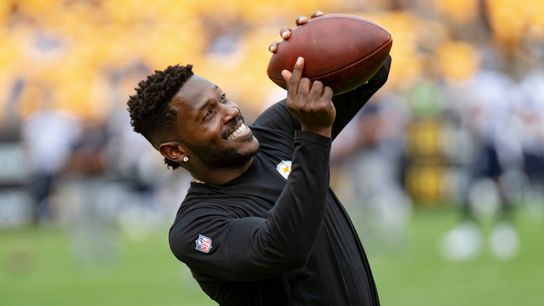 Tomlin: Steelers relatively healthy for opener taken at Rooney Complex (Steelers)
