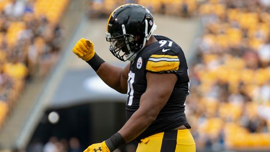 With Tuitt still out, Steelers could lean on Hargrave, Alualu taken at Rooney Complex (Steelers)