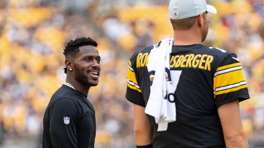 AB to Roethlisberger: 'I really apologize' taken at Highmark Stadium (Steelers)