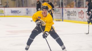 Speedy Tiffels seeking stability in AHL taken in Cranberry, Pa. (Penguins)