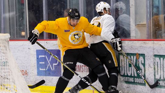 'In-your-face' Wilson ready for increased role taken in Cranberry, Pa. (Penguins)