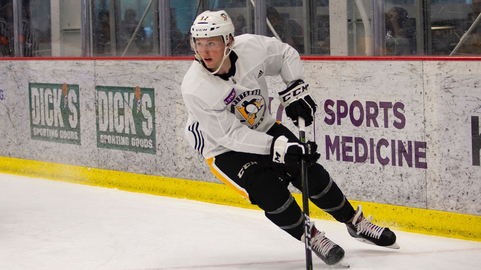 Pittsburgh penguins sam lafferty cheap