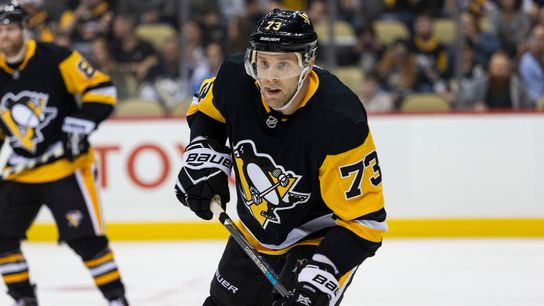 Hockey's changing geography 'good for game' taken in Glendale, Ariz. (Courtesy of Point Park University)