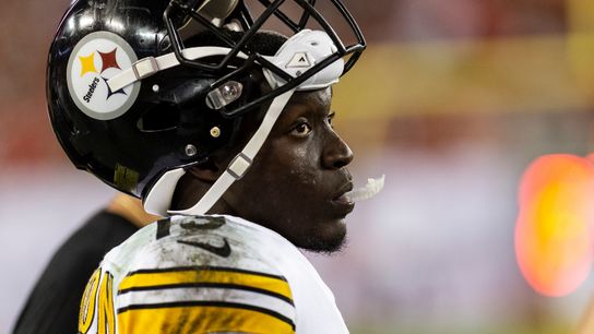 Combat-catch rookie Washington still fighting taken at Rooney Complex (Steelers)