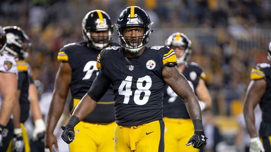 Dupree has torn pec, hopes to play Sunday taken at Rooney Complex (Steelers)