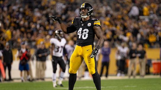 Dupree, James reject effect of distractions taken at Rooney Complex (Steelers)
