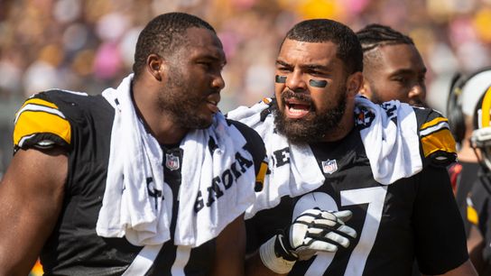 Heyward, Tuitt setting up rest of defense taken at Rooney Complex (Steelers)