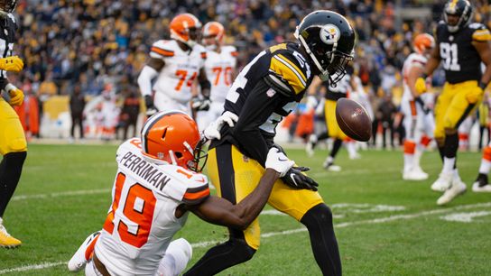 Sensabaugh ready to chip in however he can taken at Rooney Complex (Steelers)