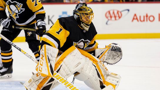 Rutherford: Goaltending at root of turnaround taken at Highmark Stadium (Courtesy of Point Park University)