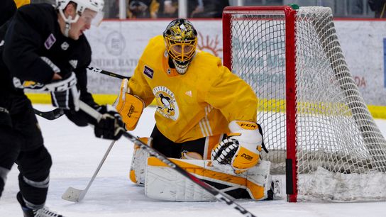 Couldn't be clearer now: It's Casey's net taken in Cranberry, Pa. (Courtesy of Point Park University)