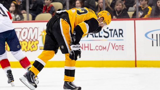 Hornqvist has concussion, ZAR broken hand taken in El Segundo, Calif. (Courtesy of Point Park University)
