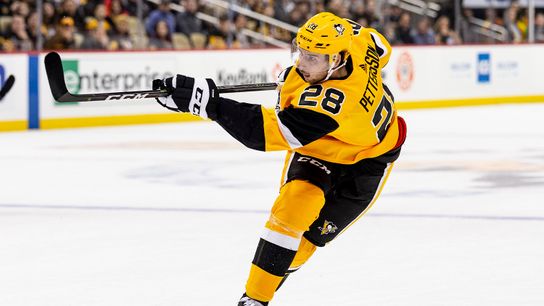 Agent: Pettersson will be 'on time' to camp taken at PPG Paints Arena (Courtesy of Point Park University)