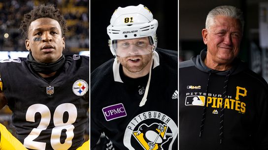 Friday Insider: Steelers' corners, Kessel's conduct, Vlad's kid taken at Rooney Complex (Courtesy of Point Park University)