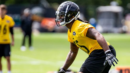 Steelers sign Bush for four years, $18.9 million taken at Rooney Complex (Steelers)