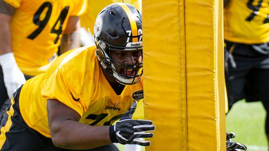 Javon Hargrave wants to be 'best of the best,' but needs snaps taken at Rooney Complex (zColumns)