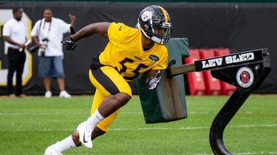 Bush for Defensive Rookie of Year? Why not? taken at Rooney Complex (Steelers)