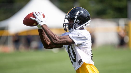 Holton to practice squad, more moves coming? taken at Rooney Complex (Steelers)