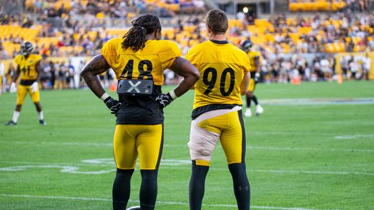 Steelers activate Watt, work him in slowly taken at Heinz Field (Steelers)