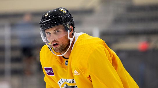 Dumoulin has ankle surgery, out 8 weeks minimum taken at PPG Paints Arena (Penguins)