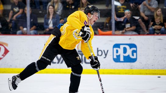 How signing Legare, Poulin early benefits Penguins taken at PPG Paints Arena (Courtesy of Point Park University)