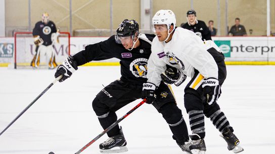 Final: Penguins training camp taken in Cranberry, Pa. (Courtesy of Point Park University)