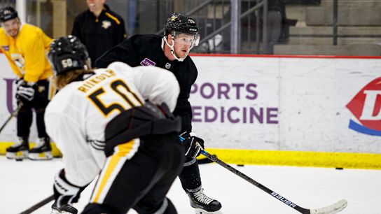 Crosby out vs. Rangers, McCann to top line taken in Cranberry, Pa. (Penguins)