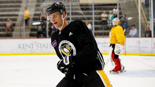 Penguins players rave about women's games taken in Cranberry, Pa. (Penguins)