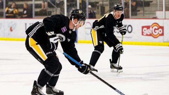 McCann, Bjugstad, Hornqvist bring Sullivan's third-line heat taken in Cranberry, Pa. (Courtesy of Point Park University)